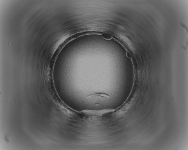 X0000097760875200803141721