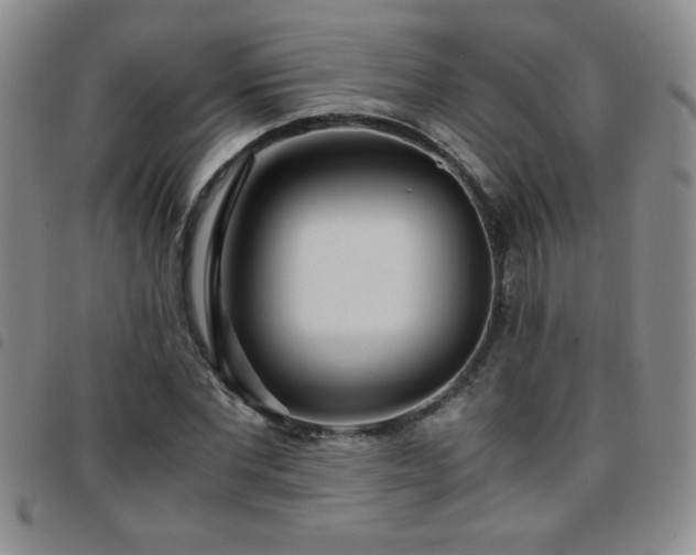 X0000097760877200803141721