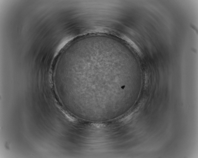 X0000097760878200803141721