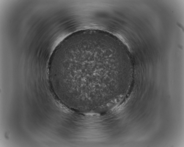 X0000097760879200803141721