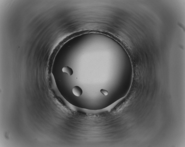 X0000097760880200803141721