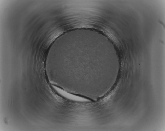 X0000097760881200803141721