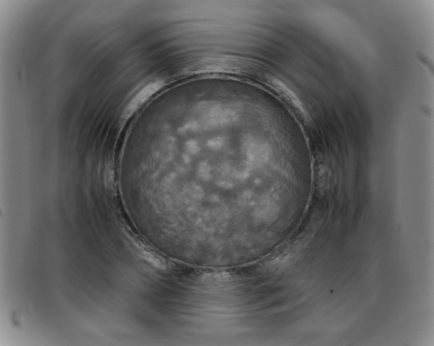 X0000097760882200803141720