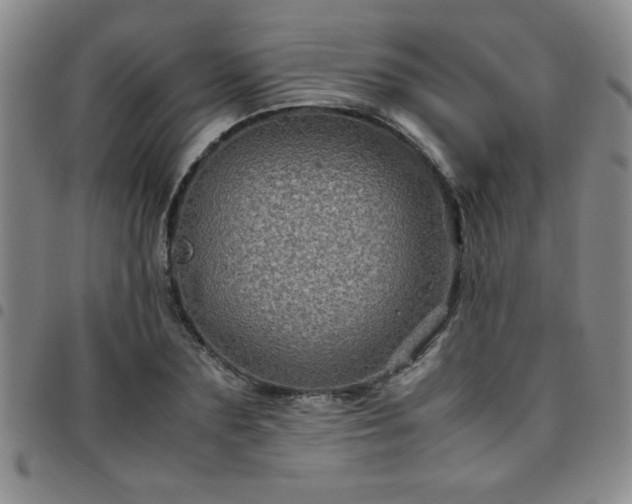 X0000097760883200803141720