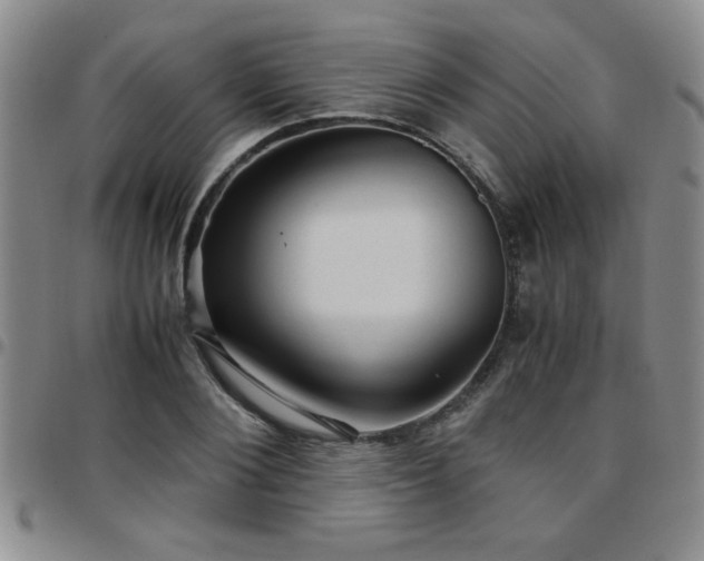 X0000097760884200803141720