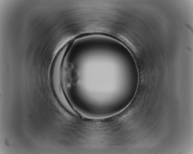 X0000097760885200803141720