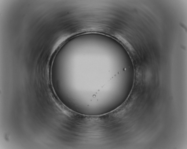 X0000097760886200803141720