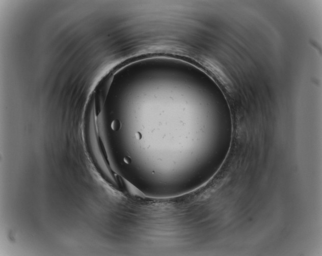 X0000097760888200803141720