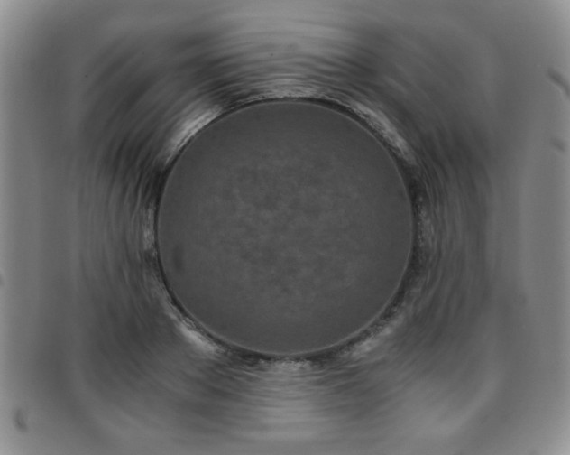 X0000097760889200803141720