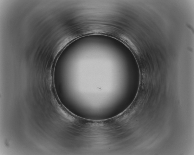 X0000097760890200803141720