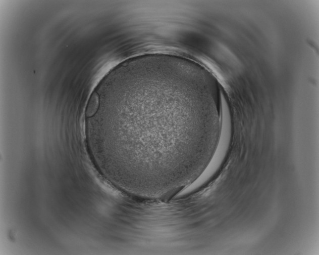 X0000097760891200803141720