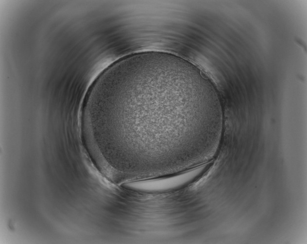 X0000097760892200803141720