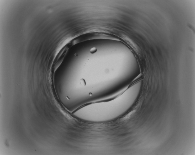 X0000097760893200803141720