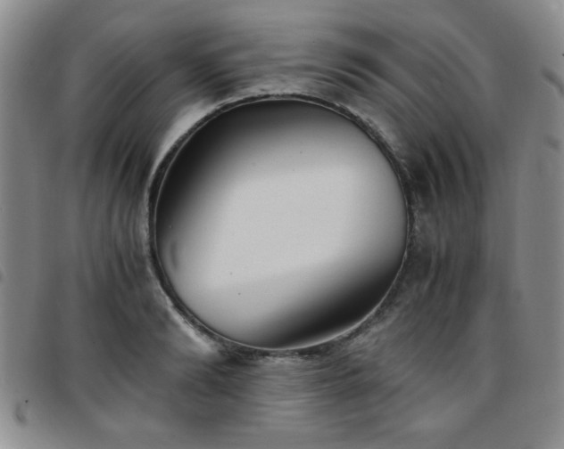 X0000097760894200803141720