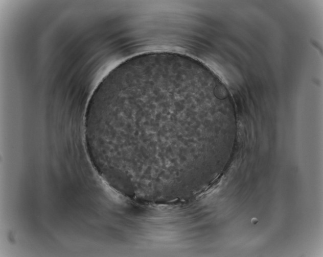 X0000097760895200803141720