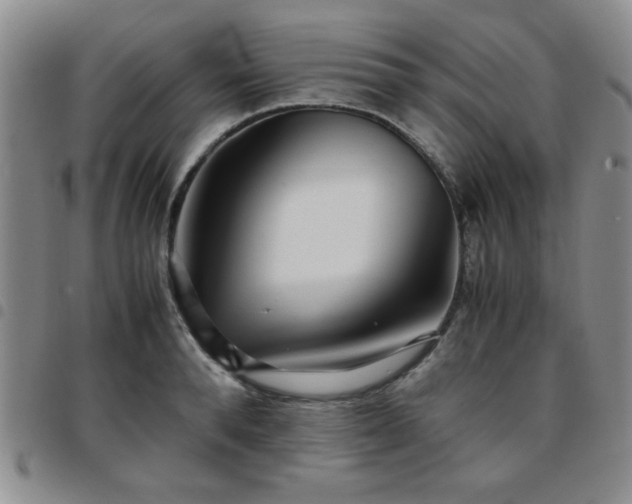 X0000097760896200803141720