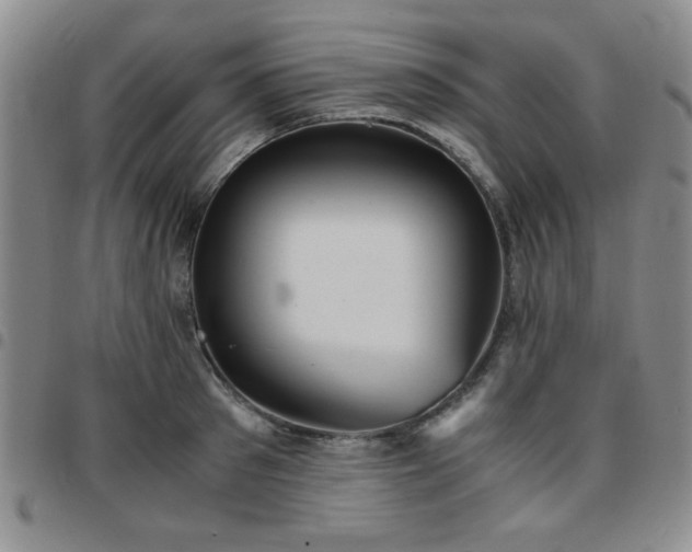 X0000097760897200803141720