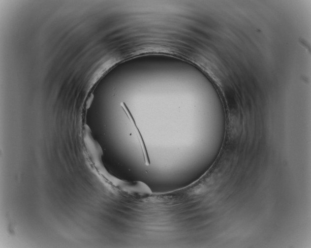 X0000097760898200803141720