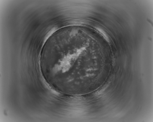 X0000097760899200803141720