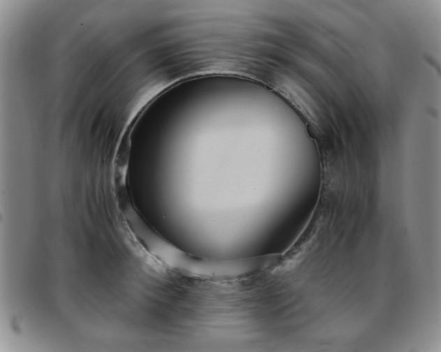 X0000097760900200803141720