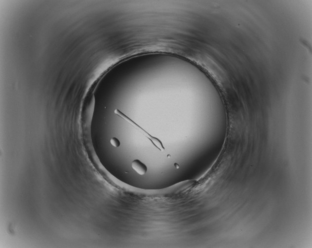 X0000097760902200803141720