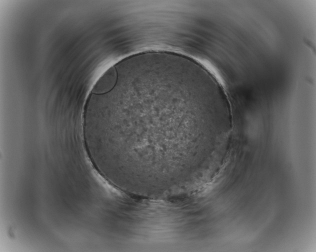 X0000097760903200803141720