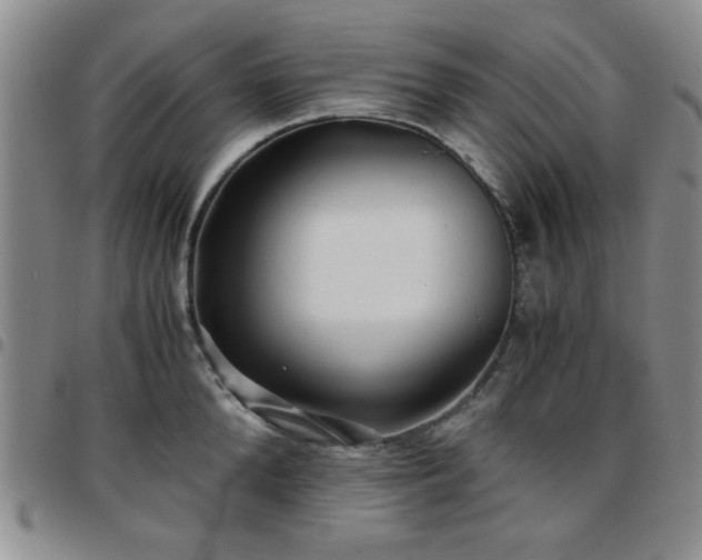 X0000097760904200803141720