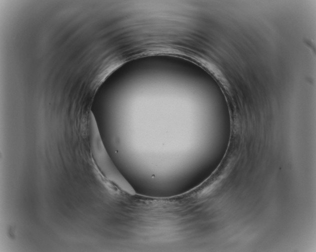 X0000097760905200803141720