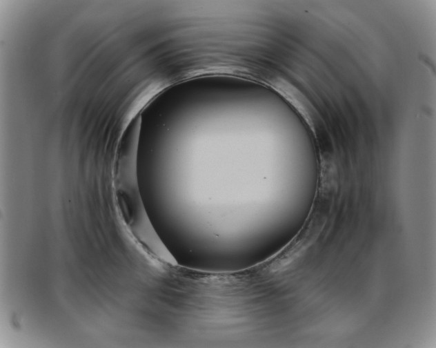 X0000097760906200803141720