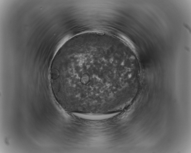 X0000097760907200803141720