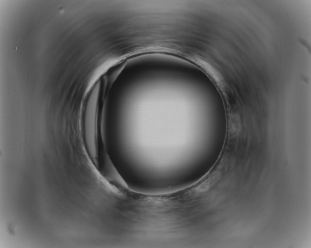 X0000097760910200803141720