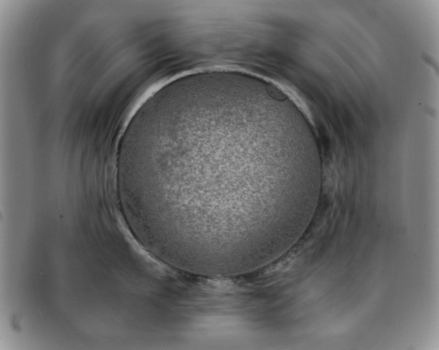 X0000097760911200803141720