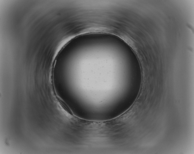 X0000097760912200803141720