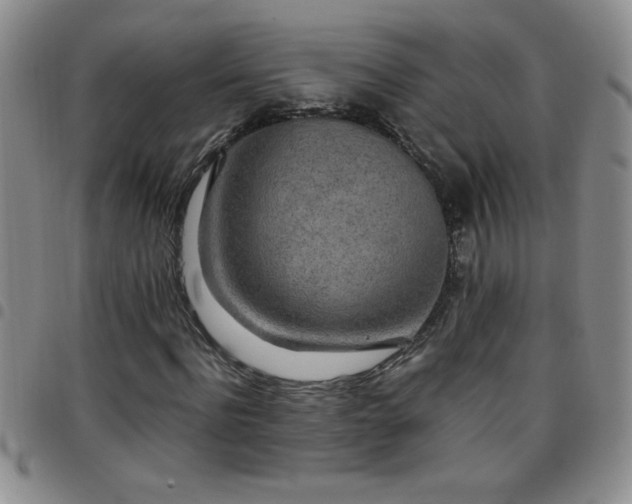 X0000097760916200803141719