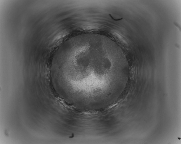 X0000097760917200803141719