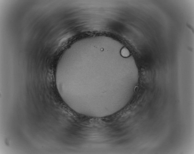 X0000097760918200803141719