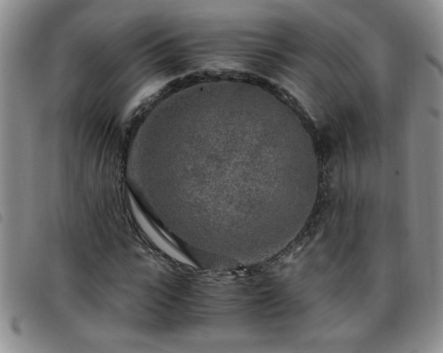 X0000097760919200803141720