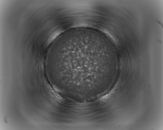 X0000097760921200803141720