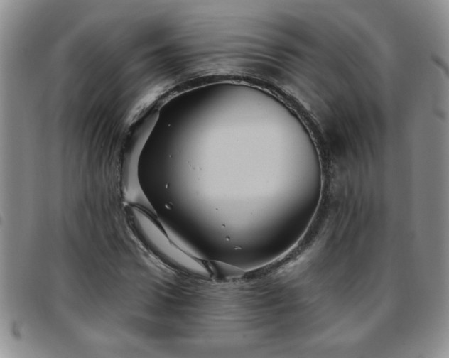 X0000097760922200803141720