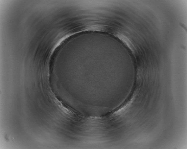 X0000097760923200803141720