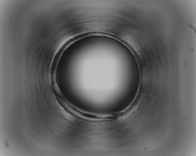 X0000097760924200803141720