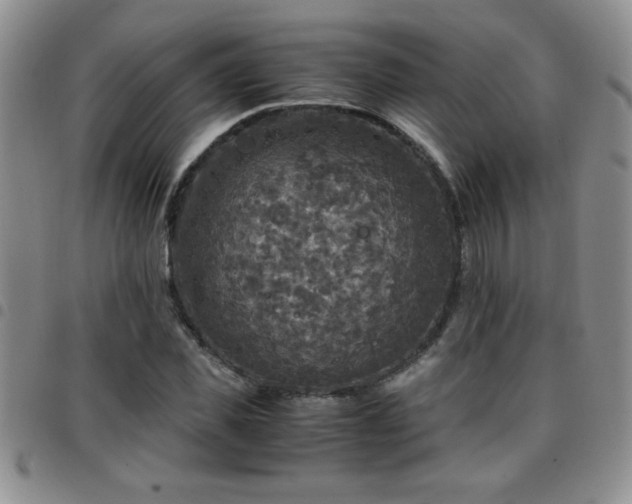 X0000097760925200803141720