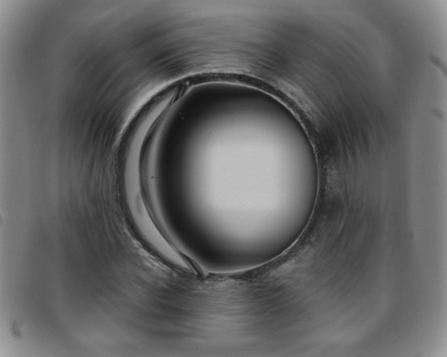 X0000097760926200803141720