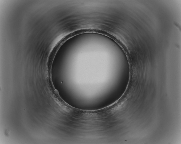 X0000097760927200803141720