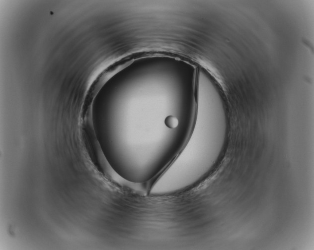 X0000097760928200803141720