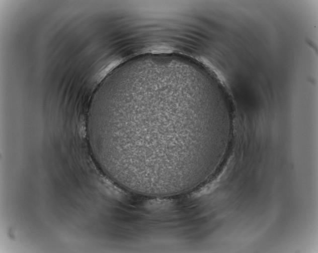 X0000097760929200803141720