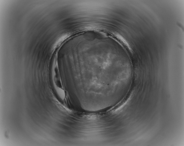 X0000097760930200803141720