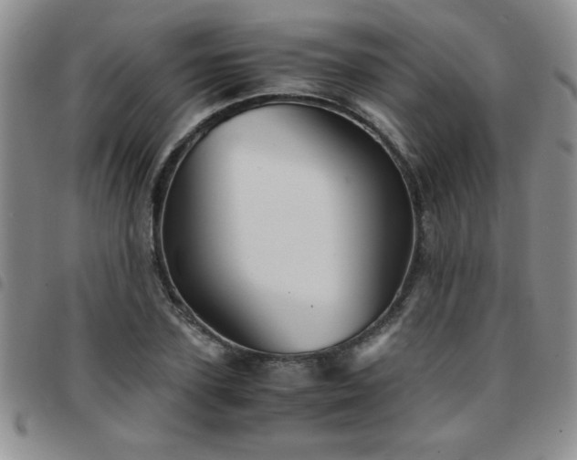 X0000097760931200803141720