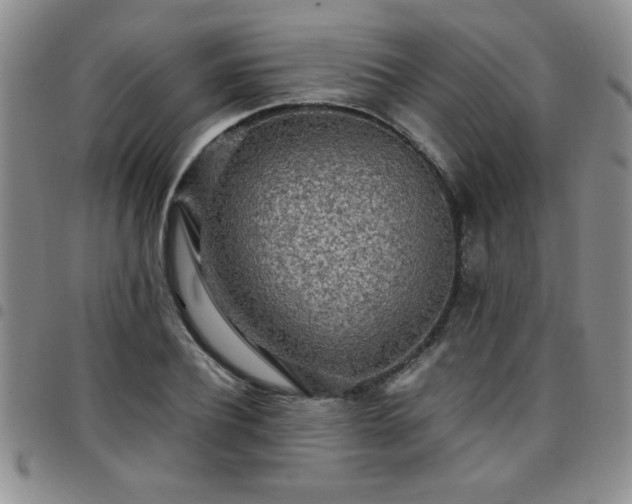 X0000097760932200803141720