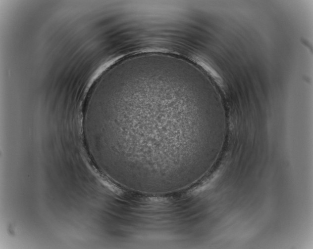 X0000097760933200803141720